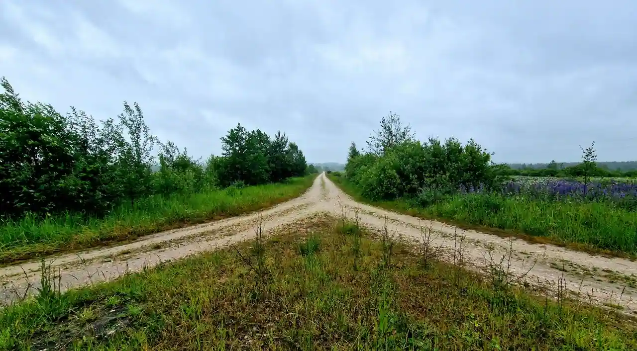 Chemin de terre qui se sépare en deux directions dans une campagne verdoyante