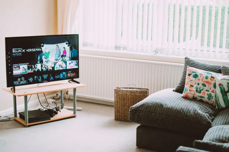 Digital Media Renderer : le rôle du DMR en réseau DLNA