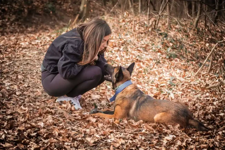 Formation en communication animale : approches et repères
