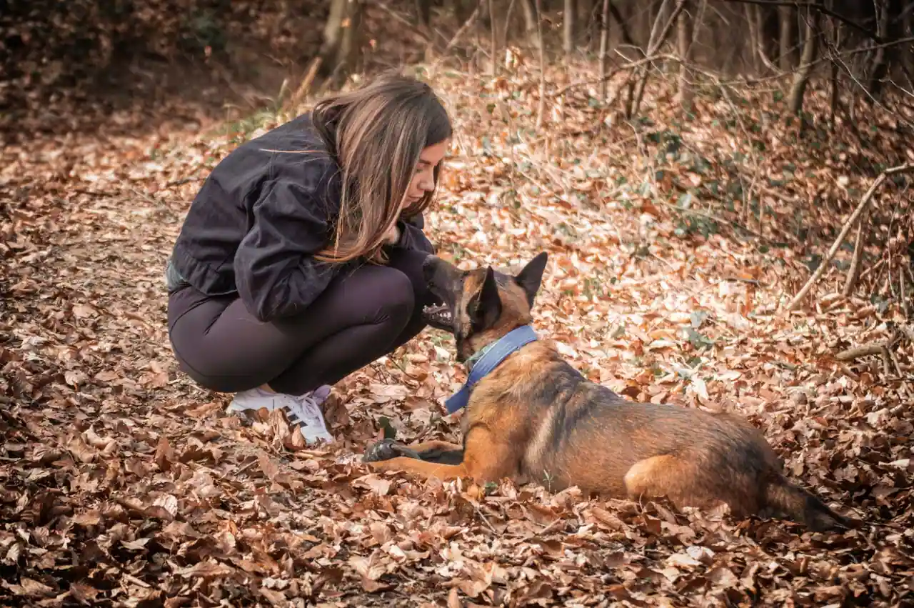Une femme accroupie face à son chien dans une forêt automnale, dans un moment d'attention et de complicité