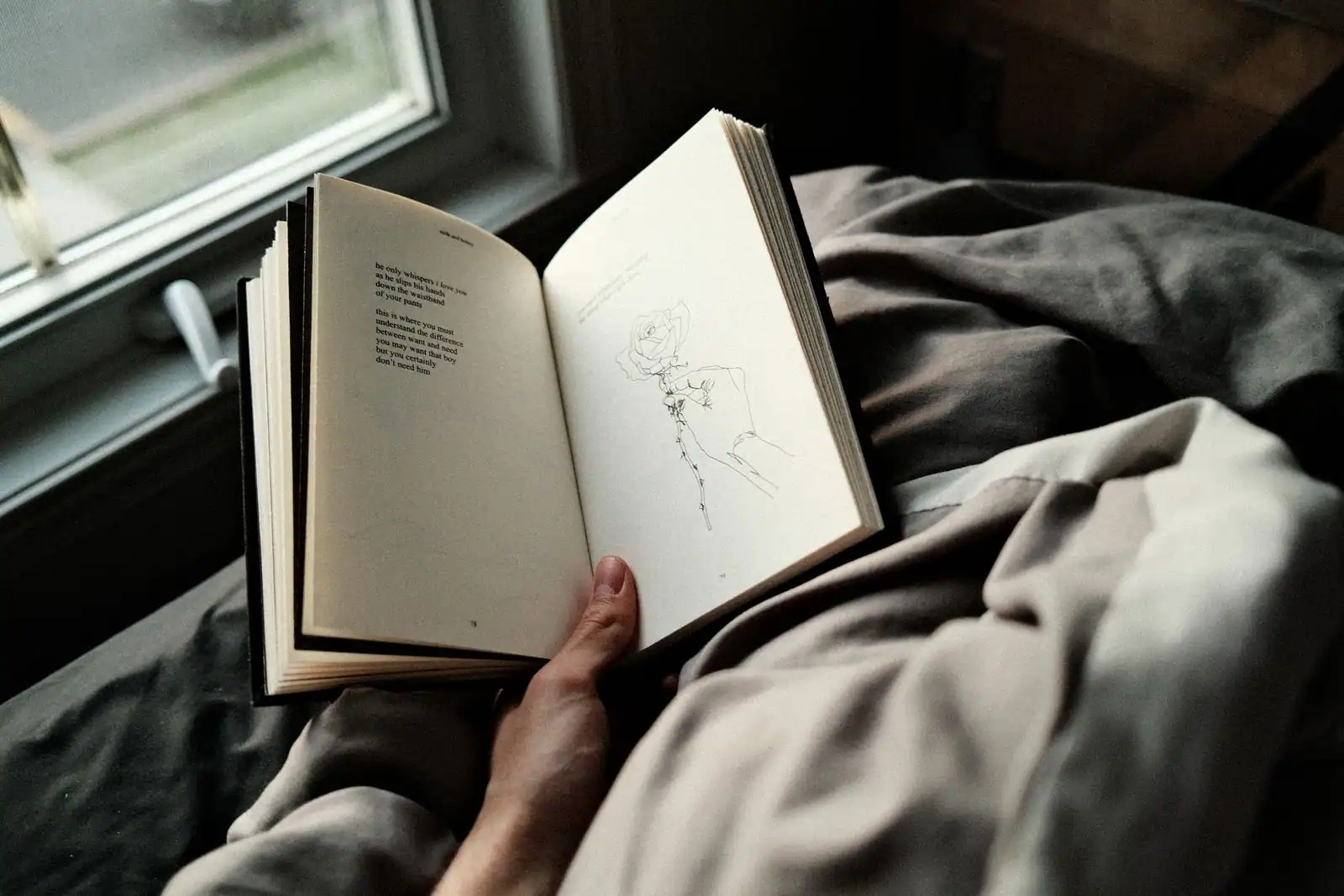 Main tenant un livre ouvert près d'une fenêtre, dans la lumière douce d'un moment de lecture.